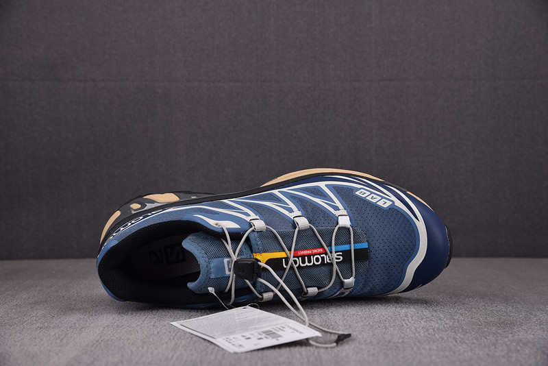 salomon xt-6 advanced