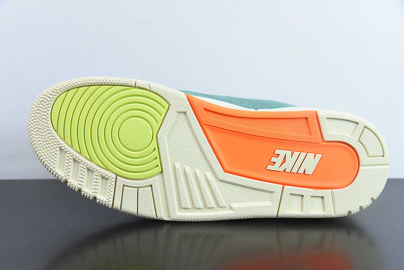 nina Ch*el abney x air jordan 3 